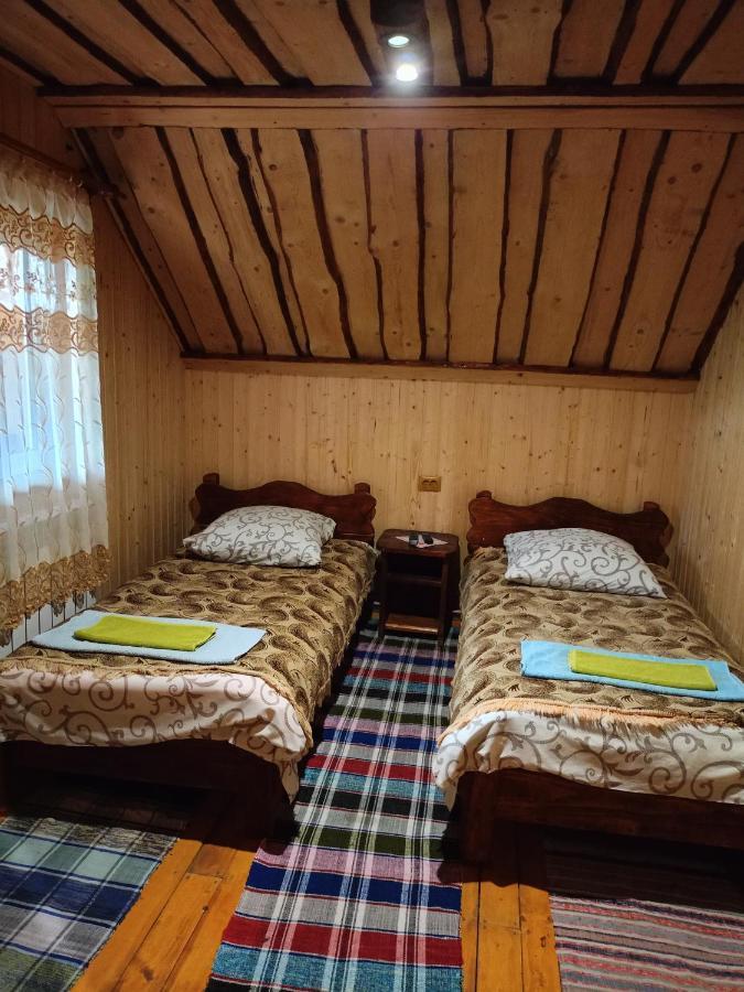 "Відпочинок В Карпатах" Vila Izki Exterior foto